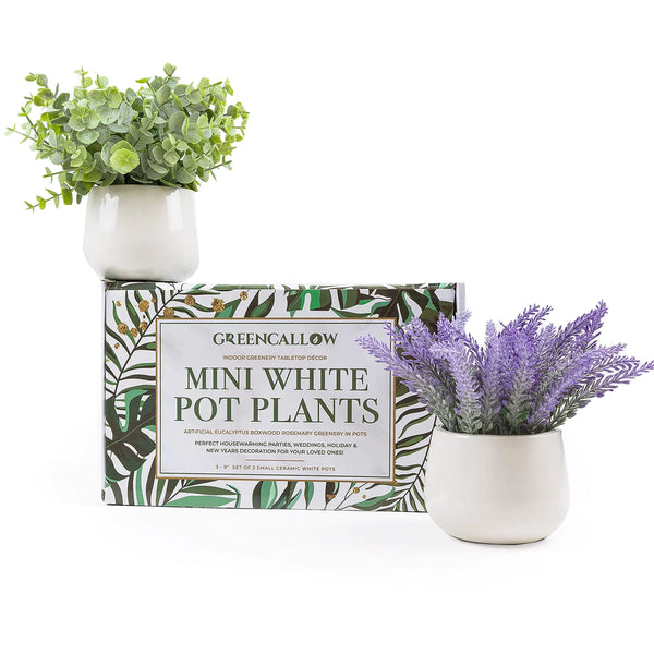 GreenCallow 2 Pack in Ceramic Pot Mini Potted Fake Plants Artificial Eucalyptus Lavender for Home Office Desk Shelf Shower Kitchen Centerpiece Farmhouse Room Decor
