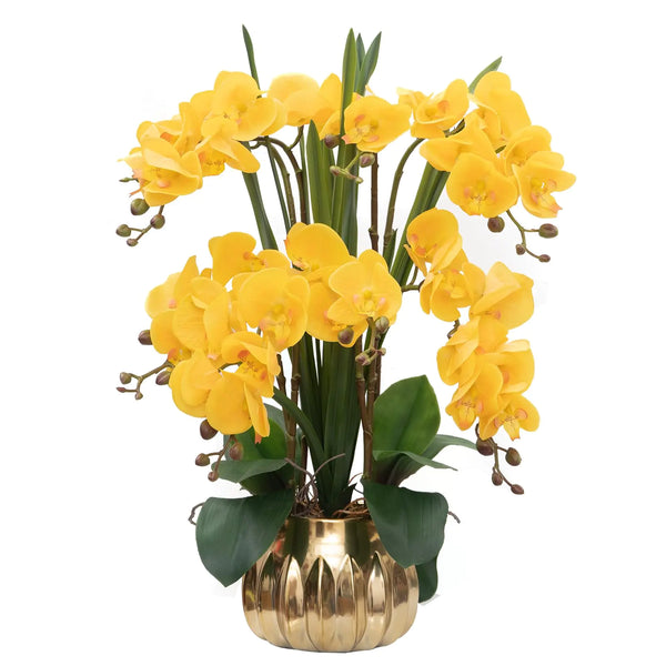 CXGS Artificial Orchid Flower Real Touch Faux Orchids in Ceramic Vase Large 22.9 Fake Flowers Yellow Phalaenopsis Floral for Home Indoor Decor