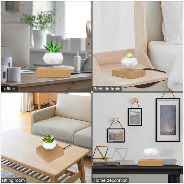 🌿 Bring Magic to Your Home – With the Floating Bonsai Pot