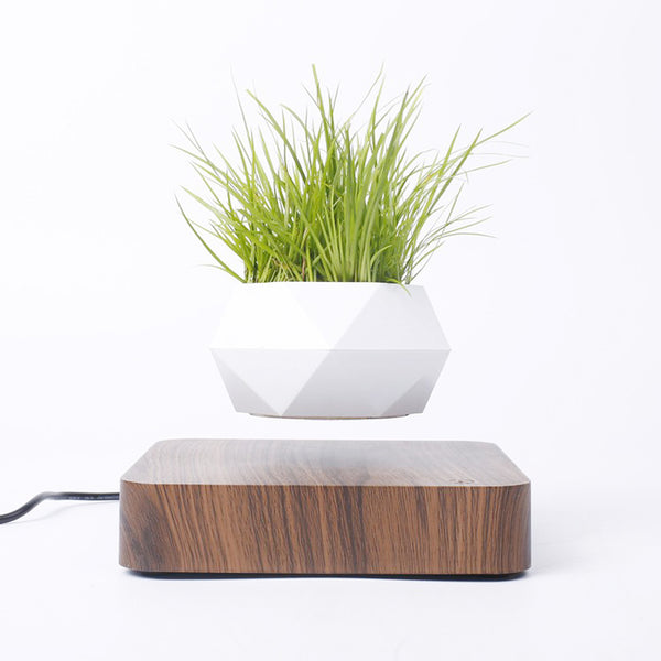 🌿 Bring Magic to Your Home – With the Floating Bonsai Pot