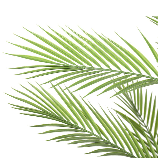 Real Touch Artificial Phoenix Palm Tree UV Resistant 180cm